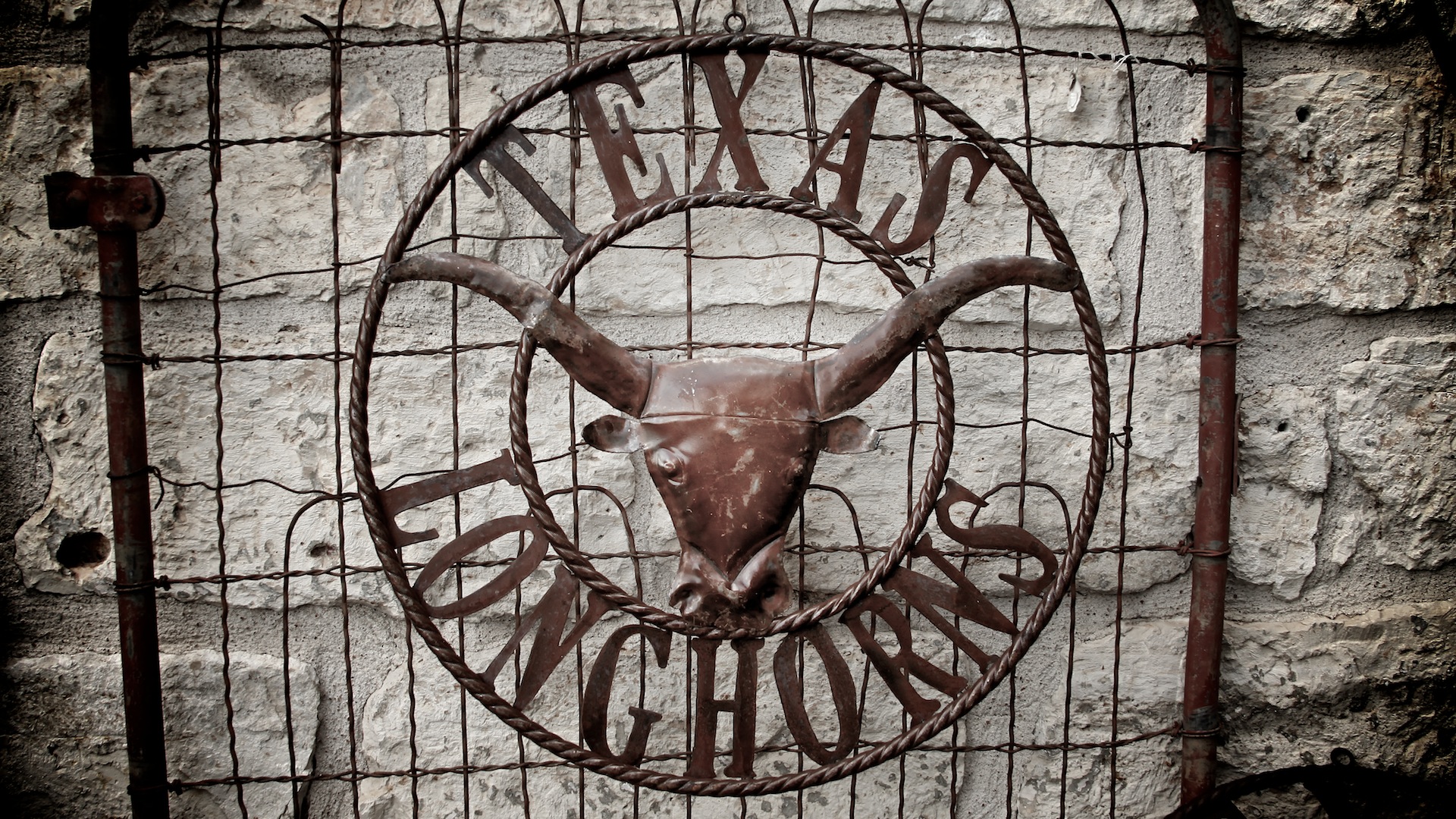 Texas Longhorns Desktop Wallpaper