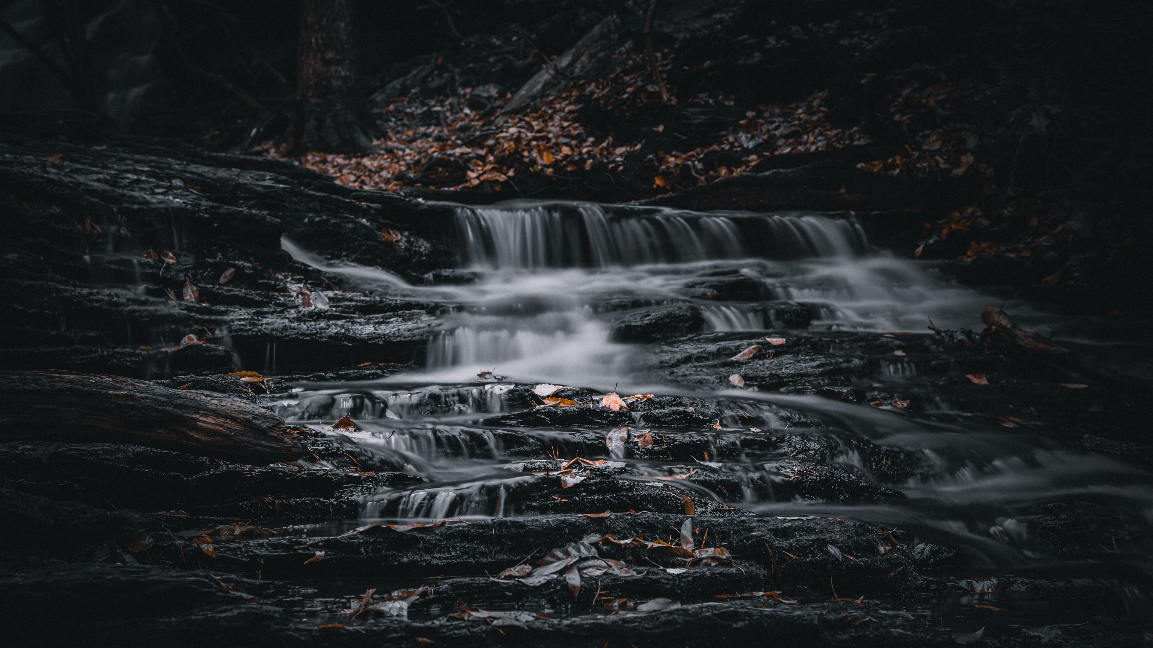 Dark Nature HD Wallpaper