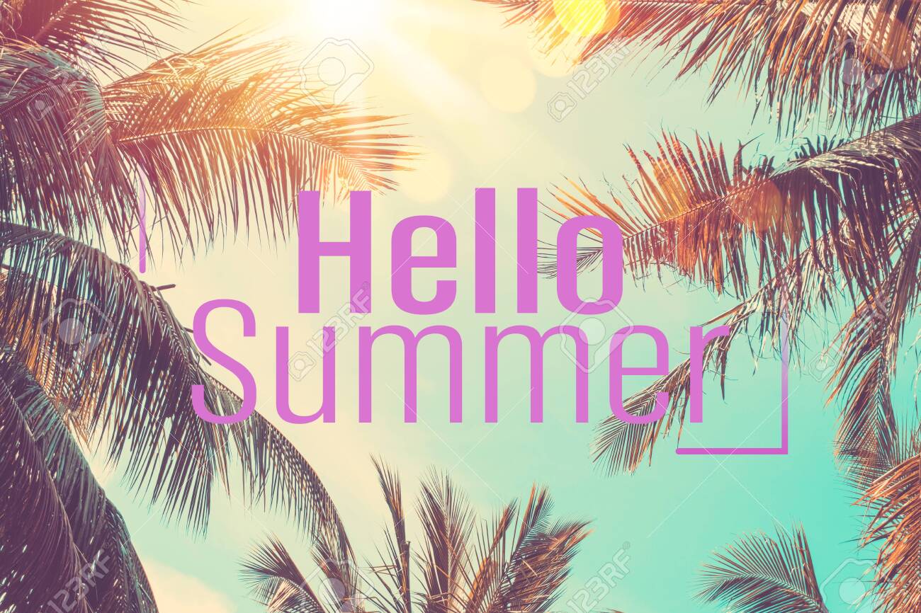Hello Summer Words On Tropical Palm Tree Background Summer