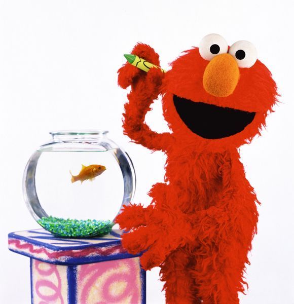 Elmo His Goldfish Jpg