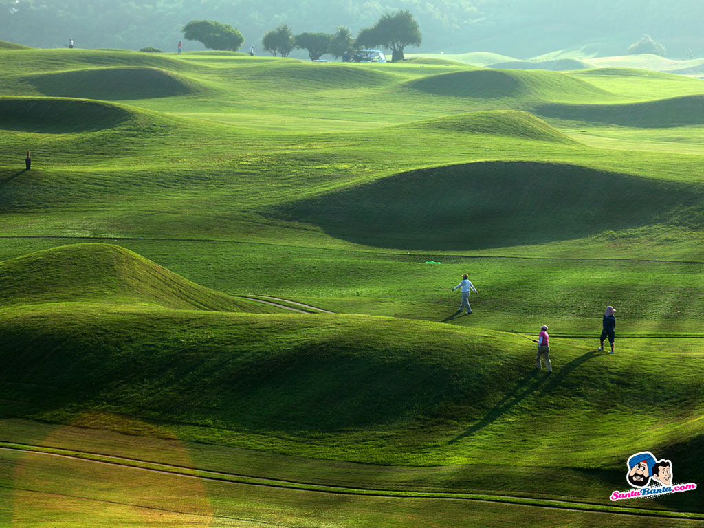 Pictures Wallpaper Golf Course Ball Grass Desktop Sports Picture
