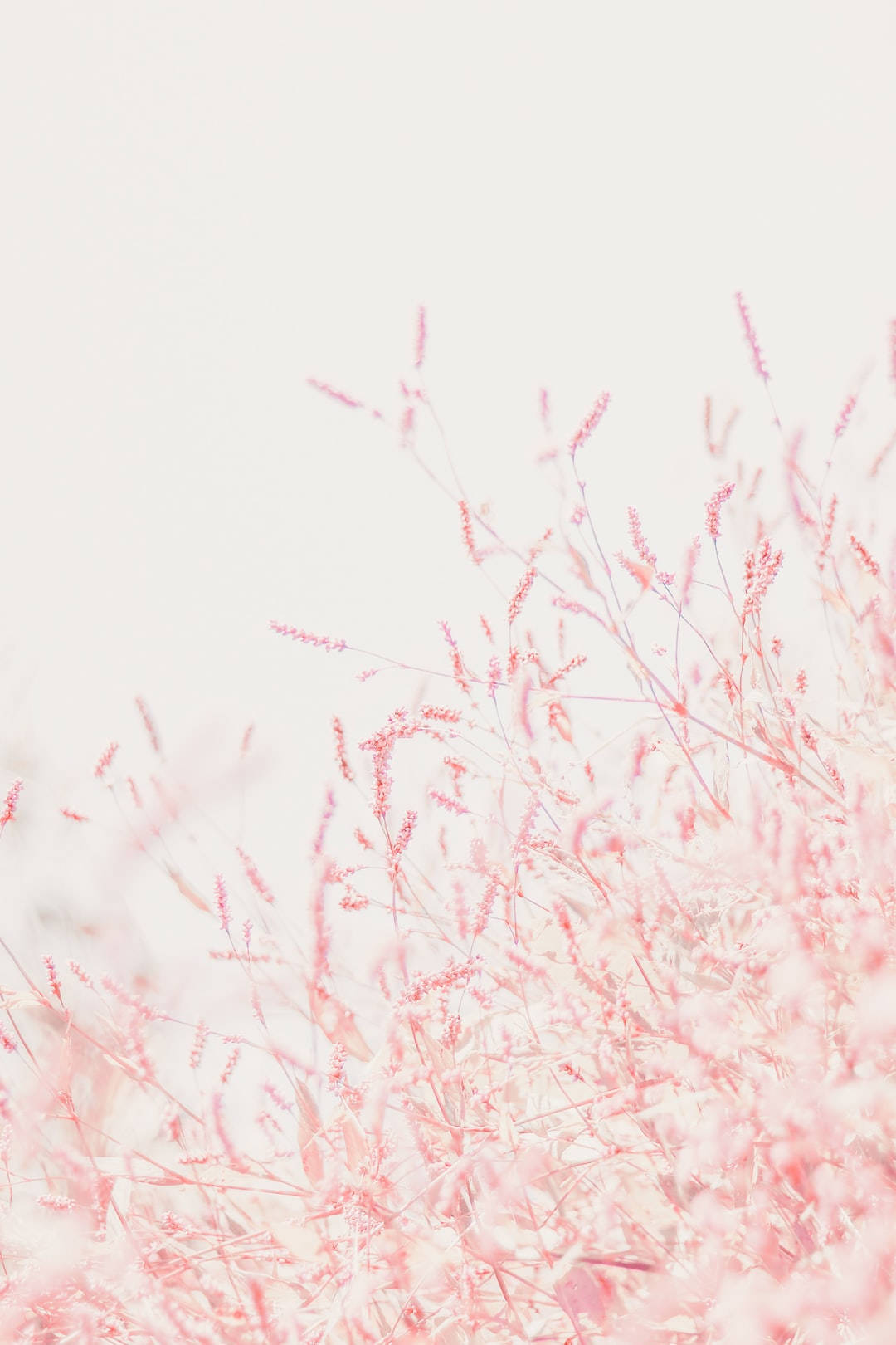 Cute Pastel Wallpaper