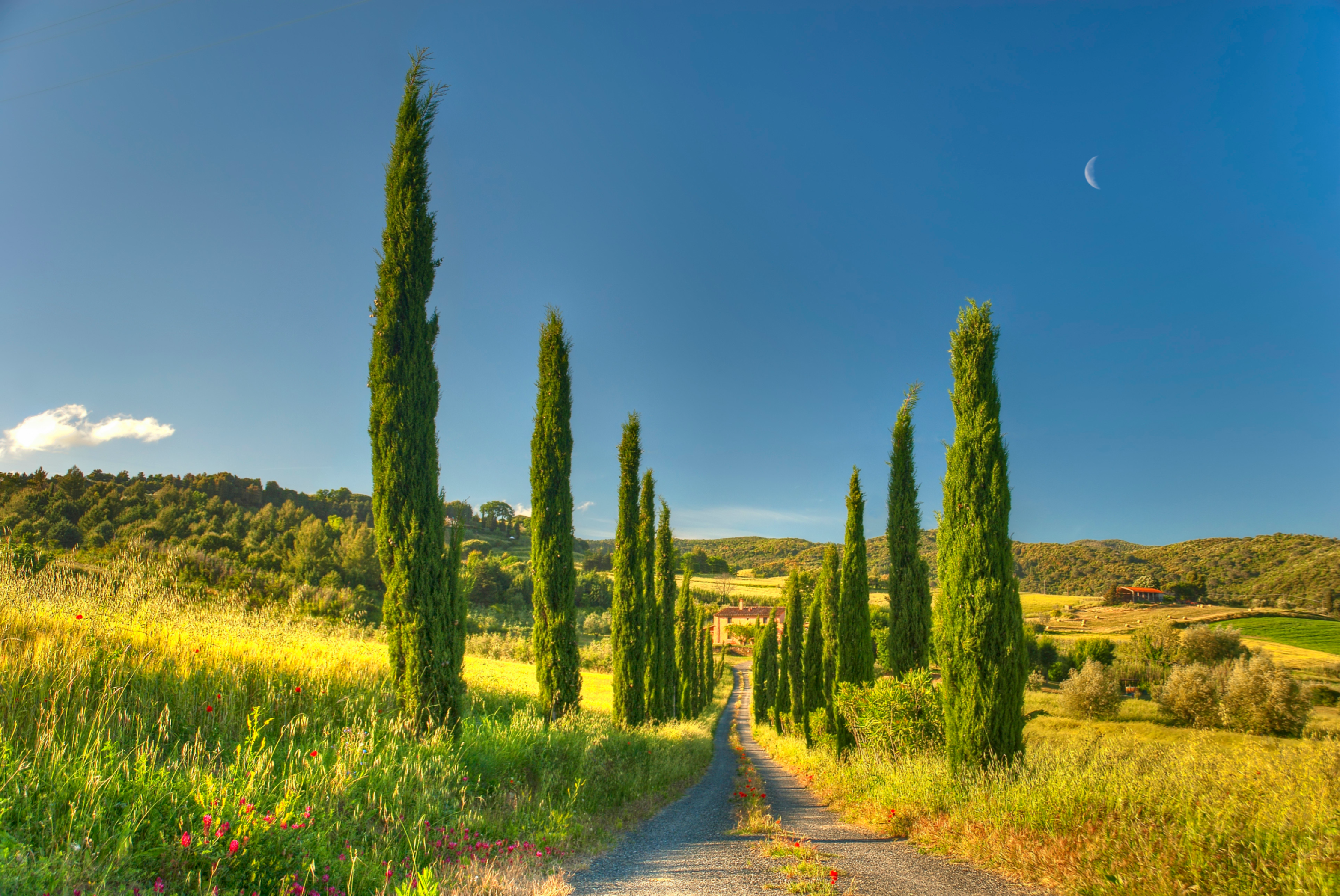 Tuscany Road Villa Cottage Country House Wallpaper Background