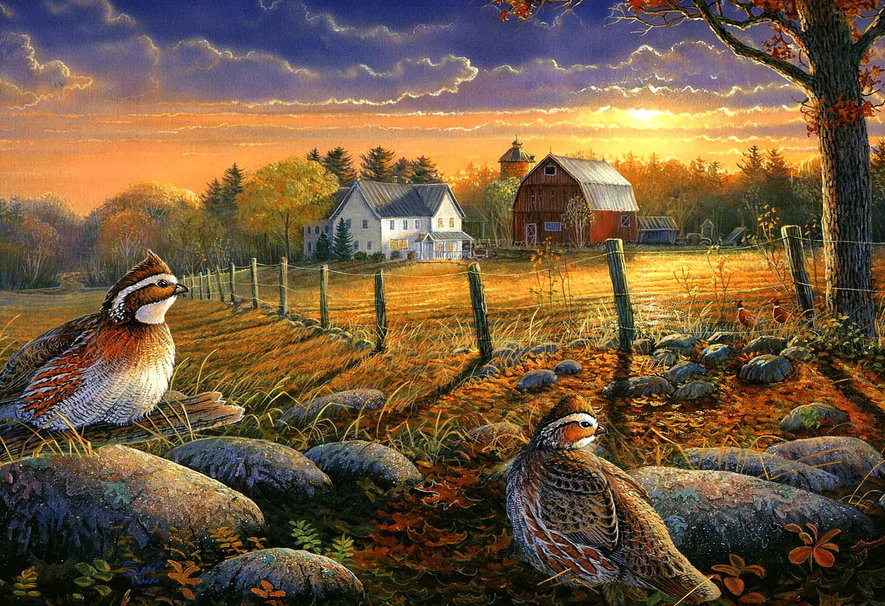 Autumn Farm Desktop Wallpaper