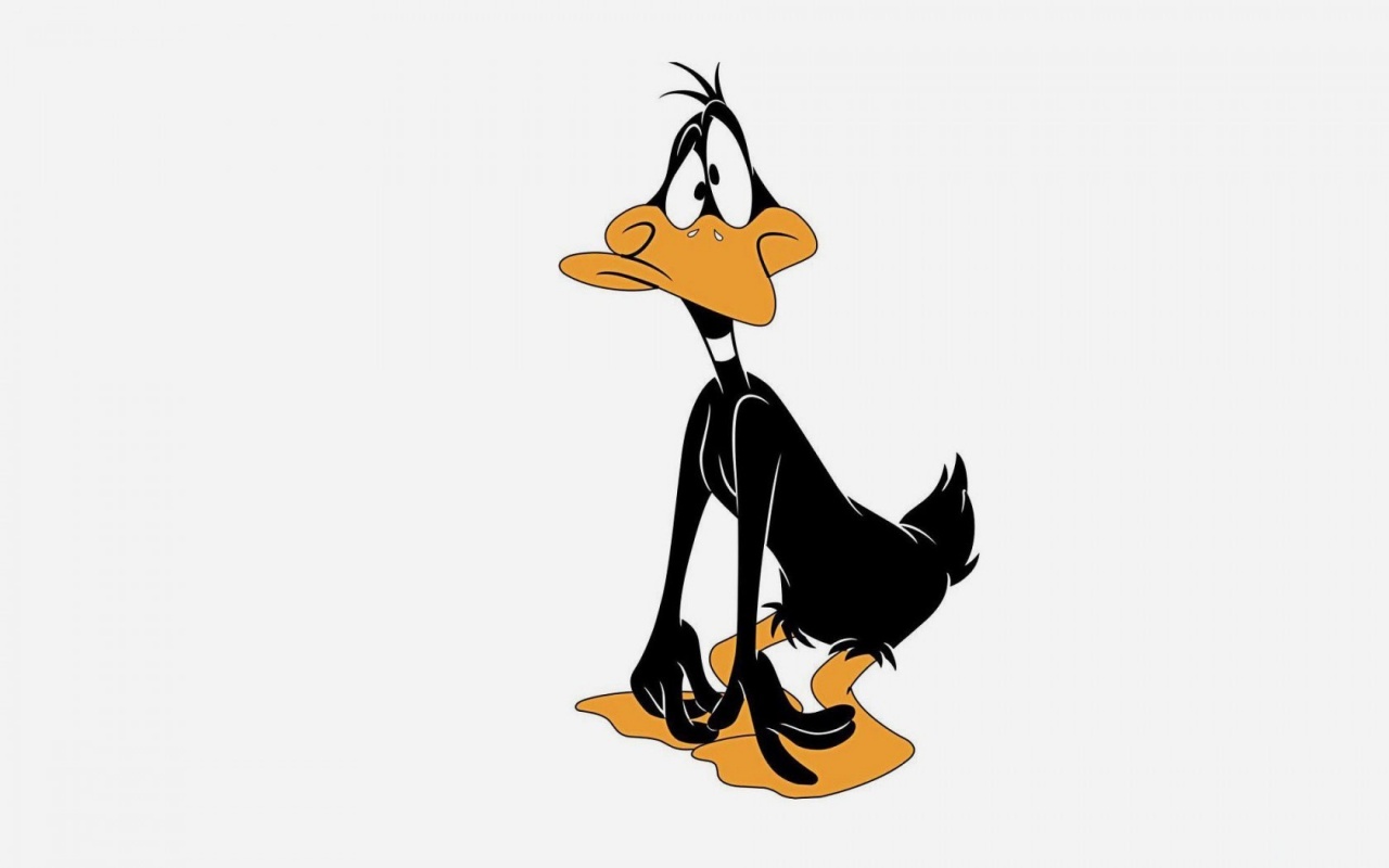 Funny Cartoon Daffy Duck HD Wallpaper