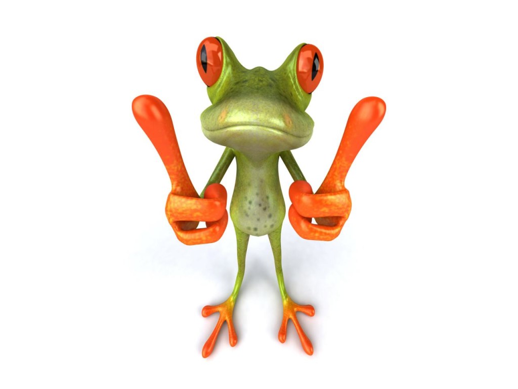 Frog Wallpaper Download Free Widescreen Hd Cute 3541   bwallescom