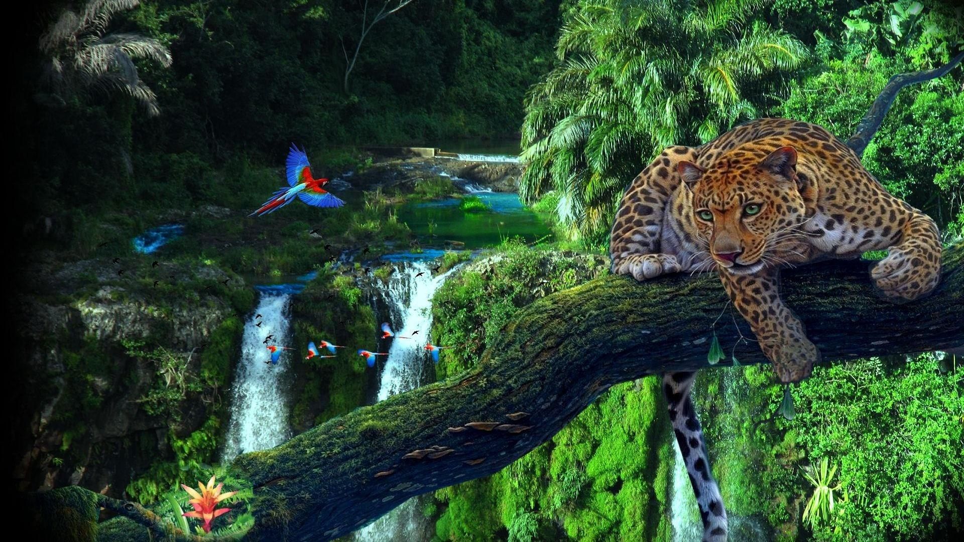 Amazon Rainforest Wallpaper Image Vim Earth In Parrot