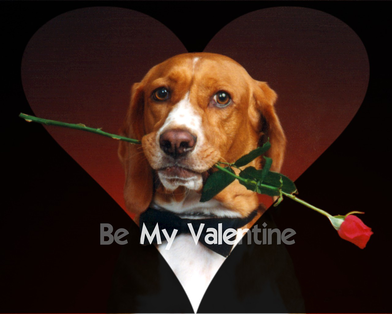 Be My Valentine Beautiful Decent Wallpaper