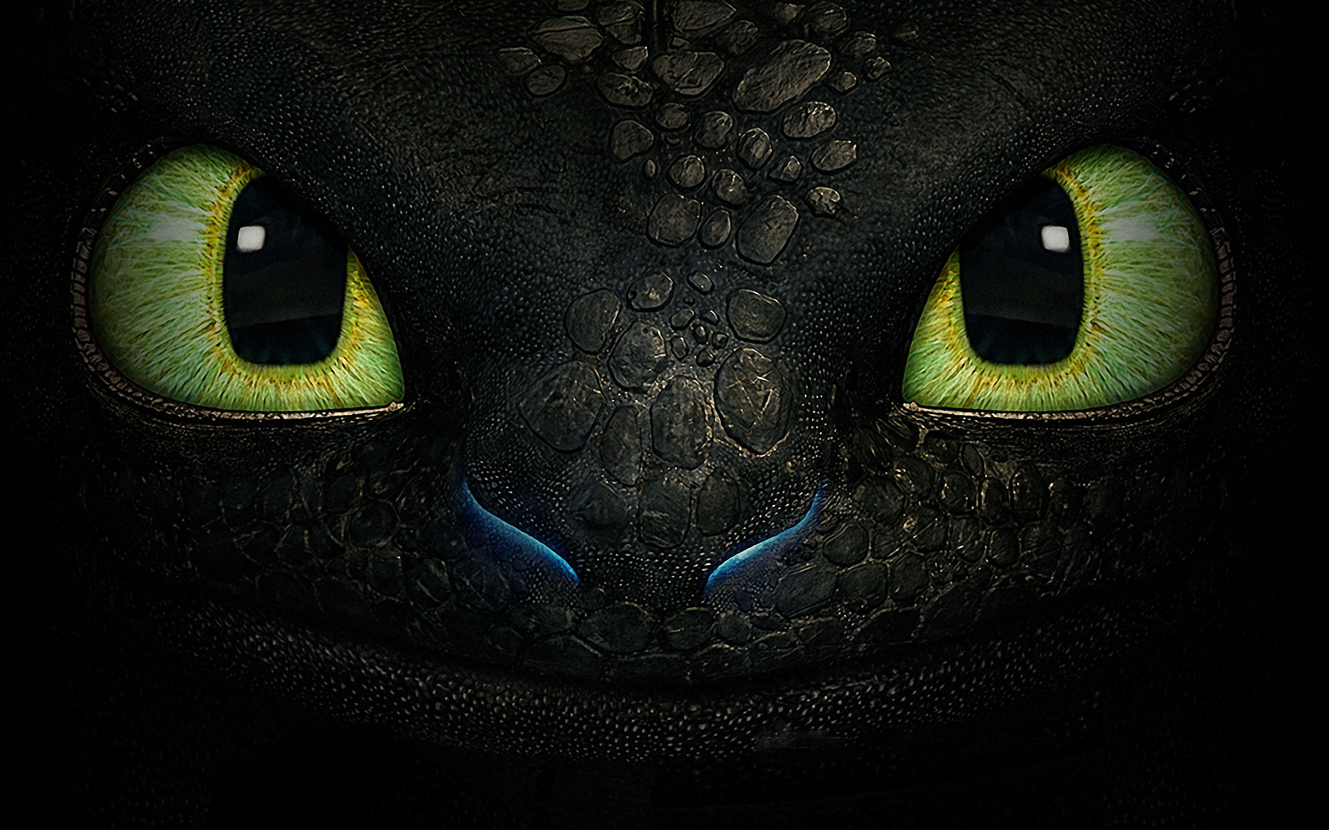 Toothless Dragon Wallpaper Galleryhip The