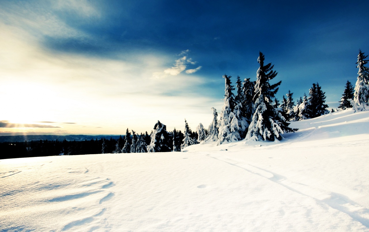 Sunny Winter Day wallpapers Sunny Winter Day stock photos