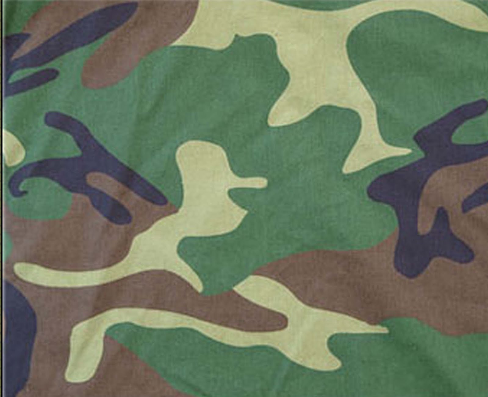 Type Camouflage Powered By Wikia