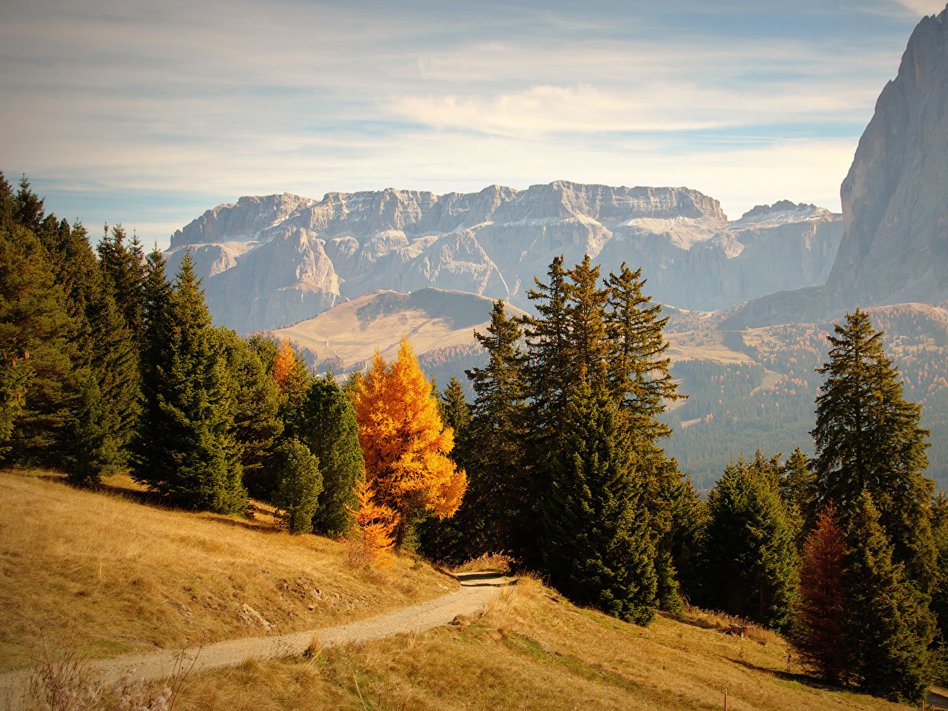 Image Italy Bolzano Trail Nature Spruce Autumn Mountains Forest