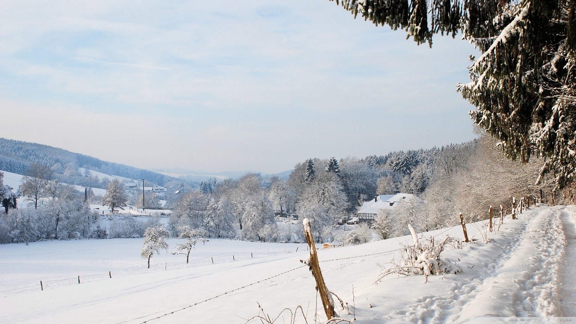 Winter Country Landscape Wallpaper