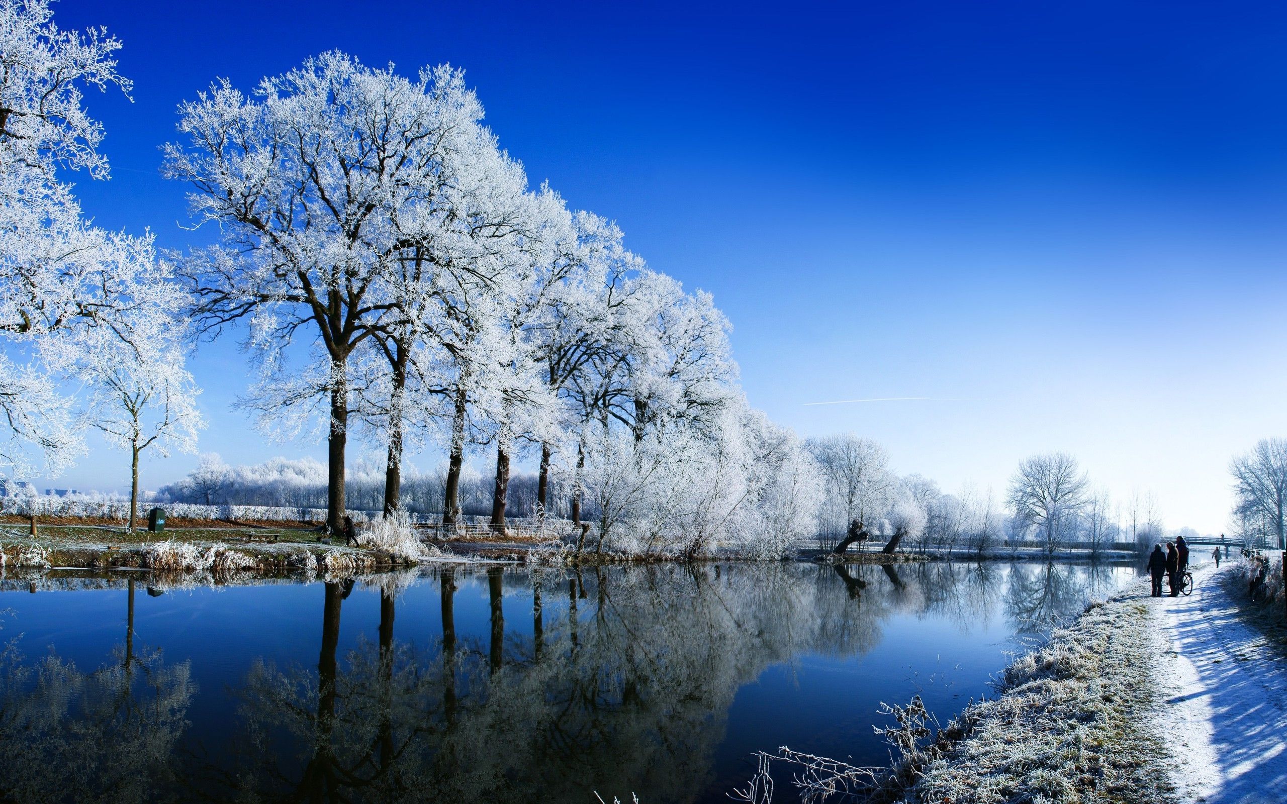 A serene winter landscape with frost-covered trees lining a calm river reflecting the clear blue sky