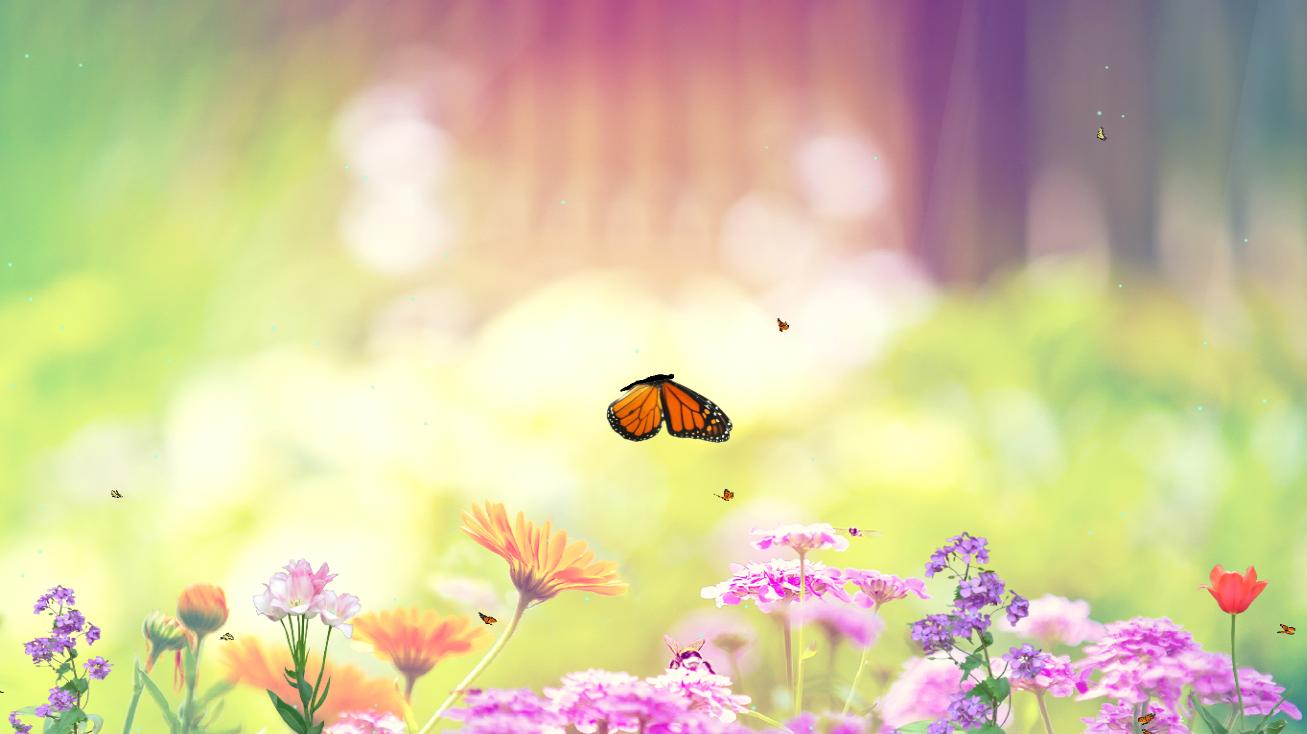 Animated Season Wallpaper Happy Spring Photos Of Grab Back Your