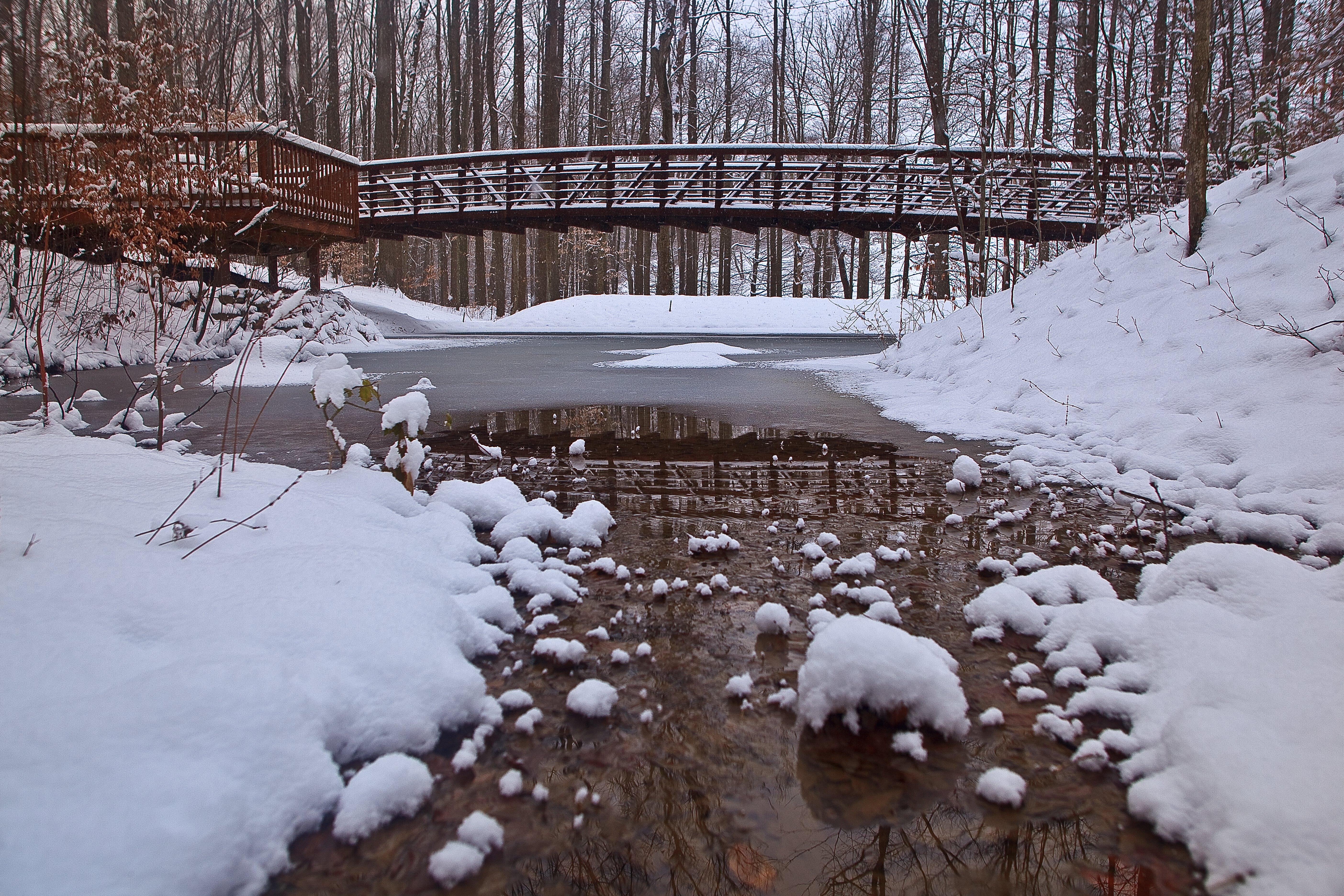 Foot Bridge Winter Snow Ice Pond Structures Nature Pictures By