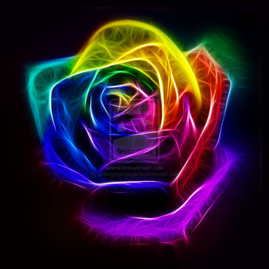 Rainbow Fractal Art Rose by photographybypixie on