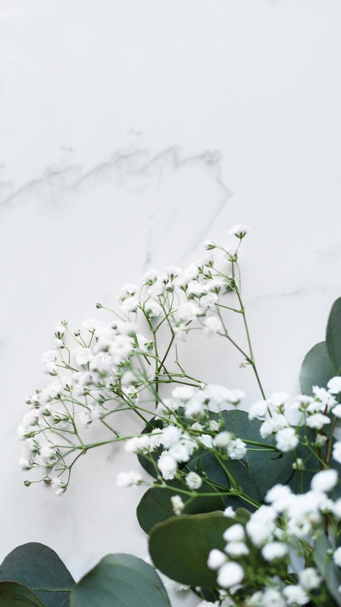 Diftart On Aesthetic Wallpaper