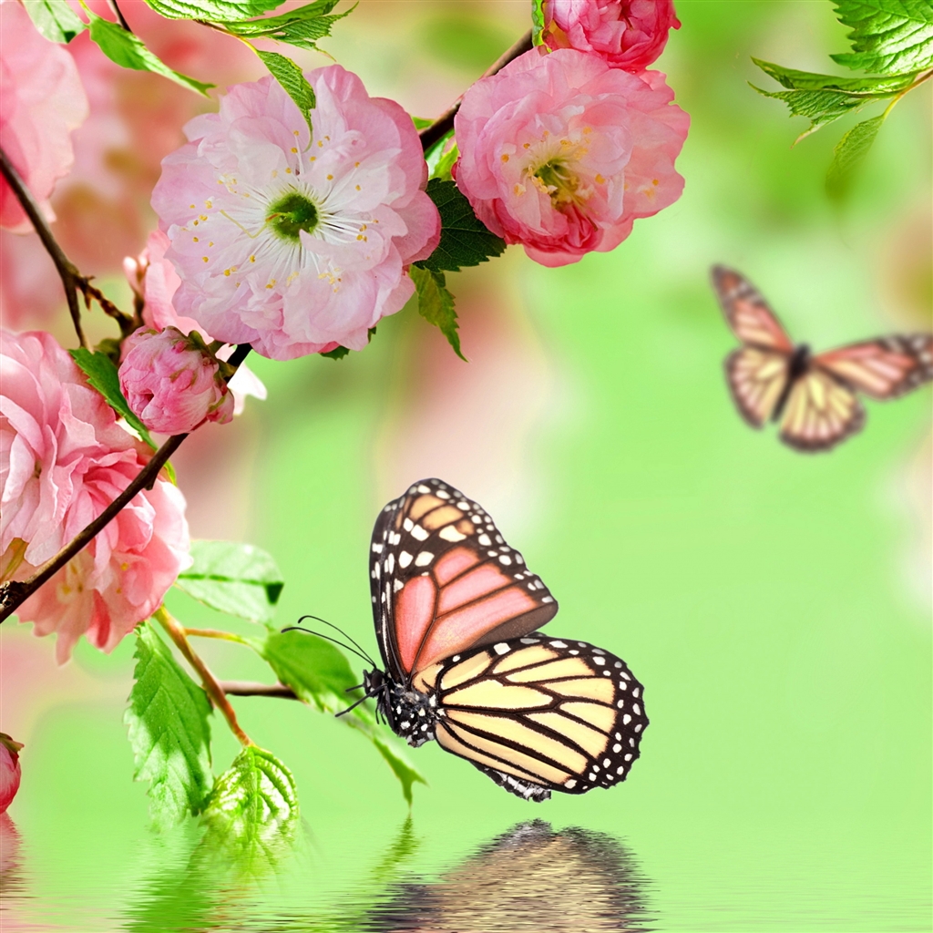 Springtime Joy iPad Air Wallpaper iPhone