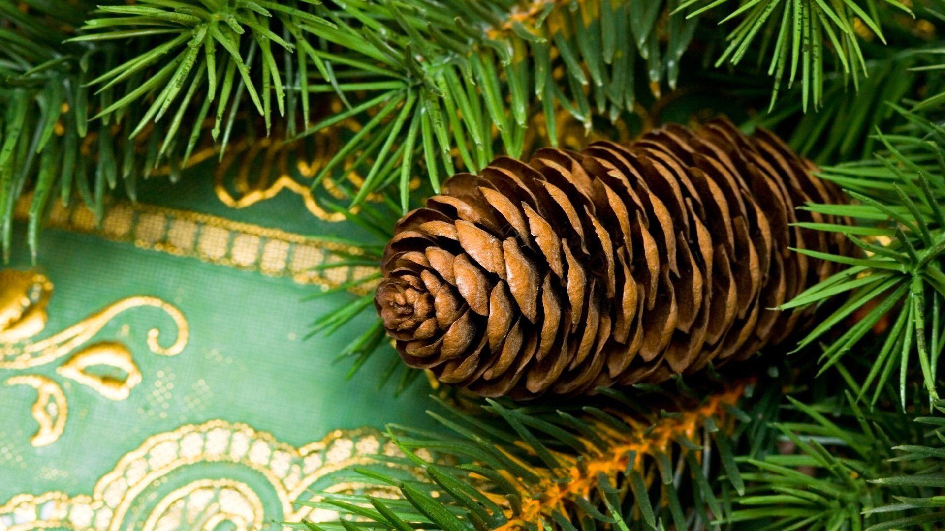 Pine Cone Wallpapers
