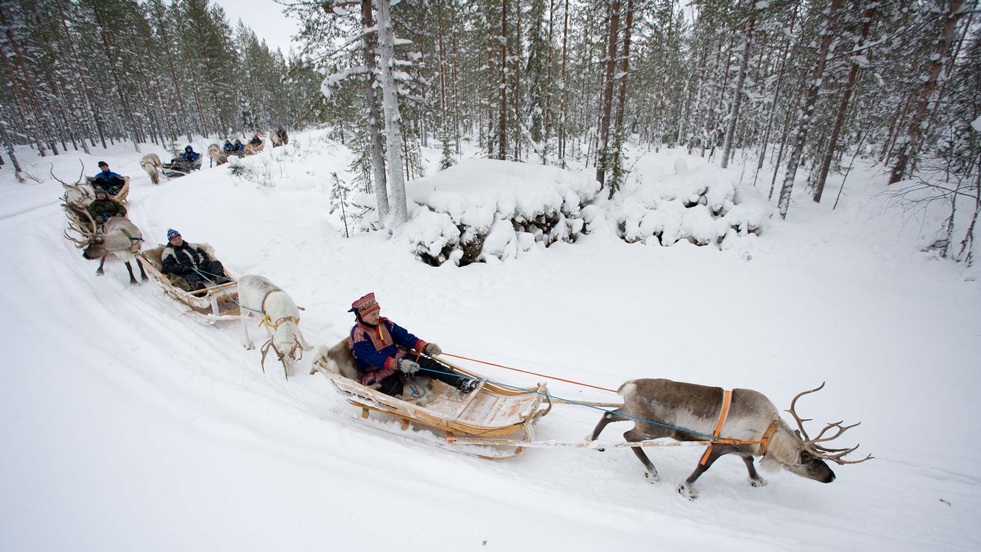 Sleigh Ride Wallpaper