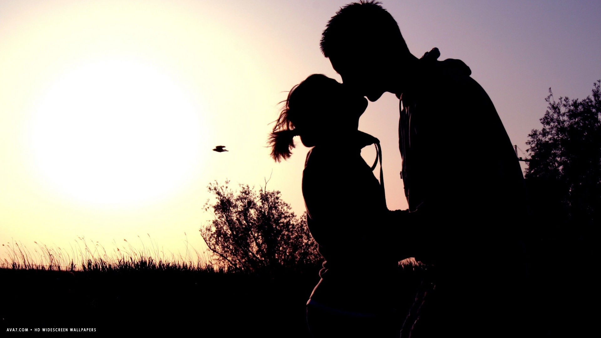 Romantic Kiss Kissing Sunset Shadow Couple Love HD Widescreen