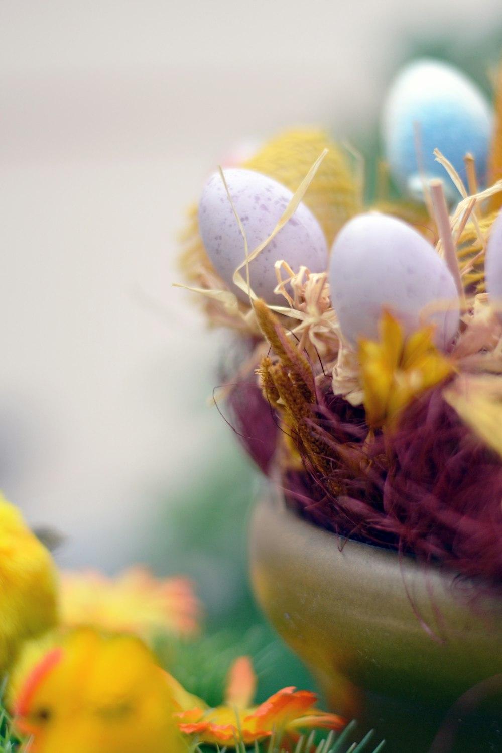 White And Yellow Flower In Close Up Photography Photo