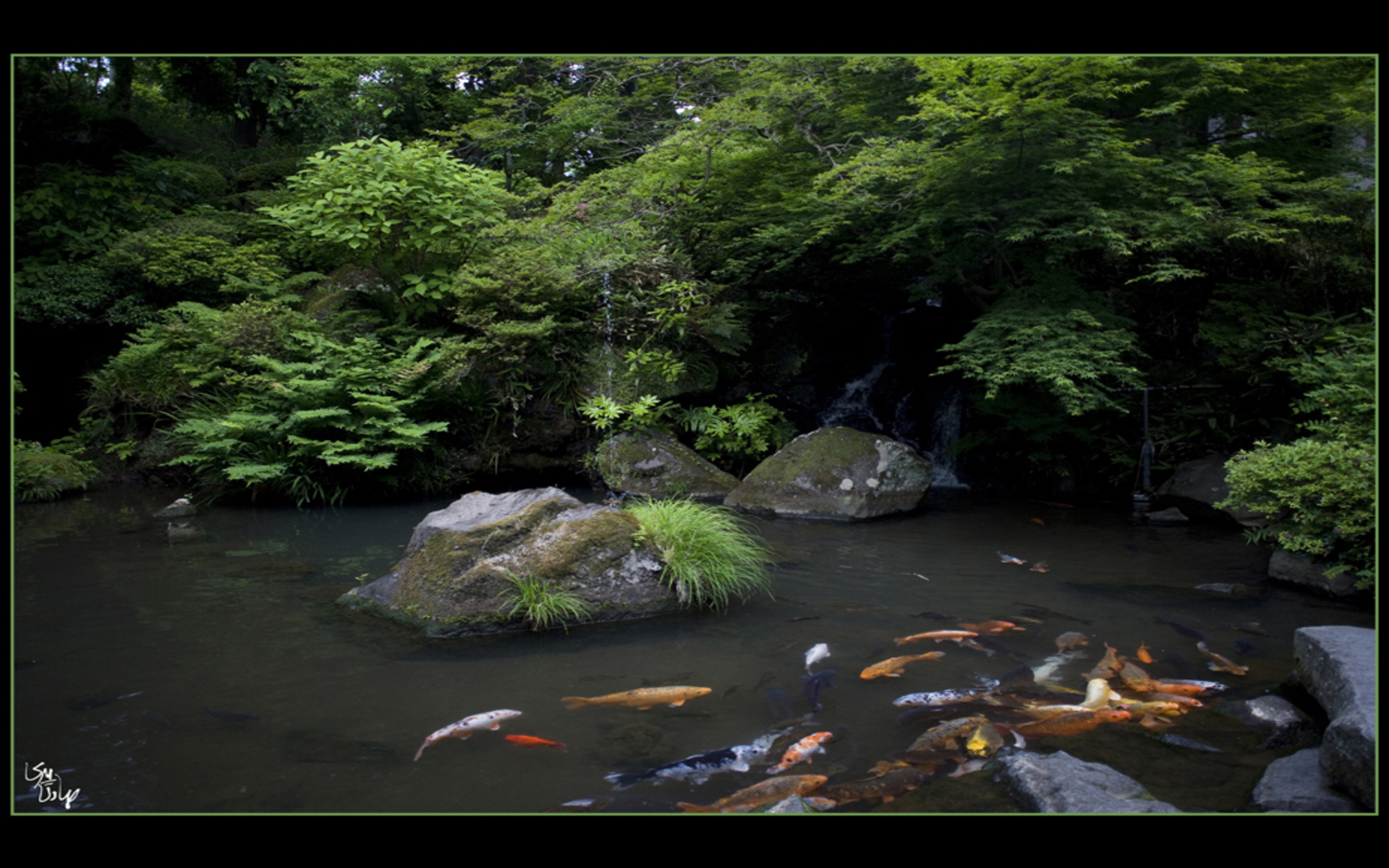 Japanese Garden Background Image