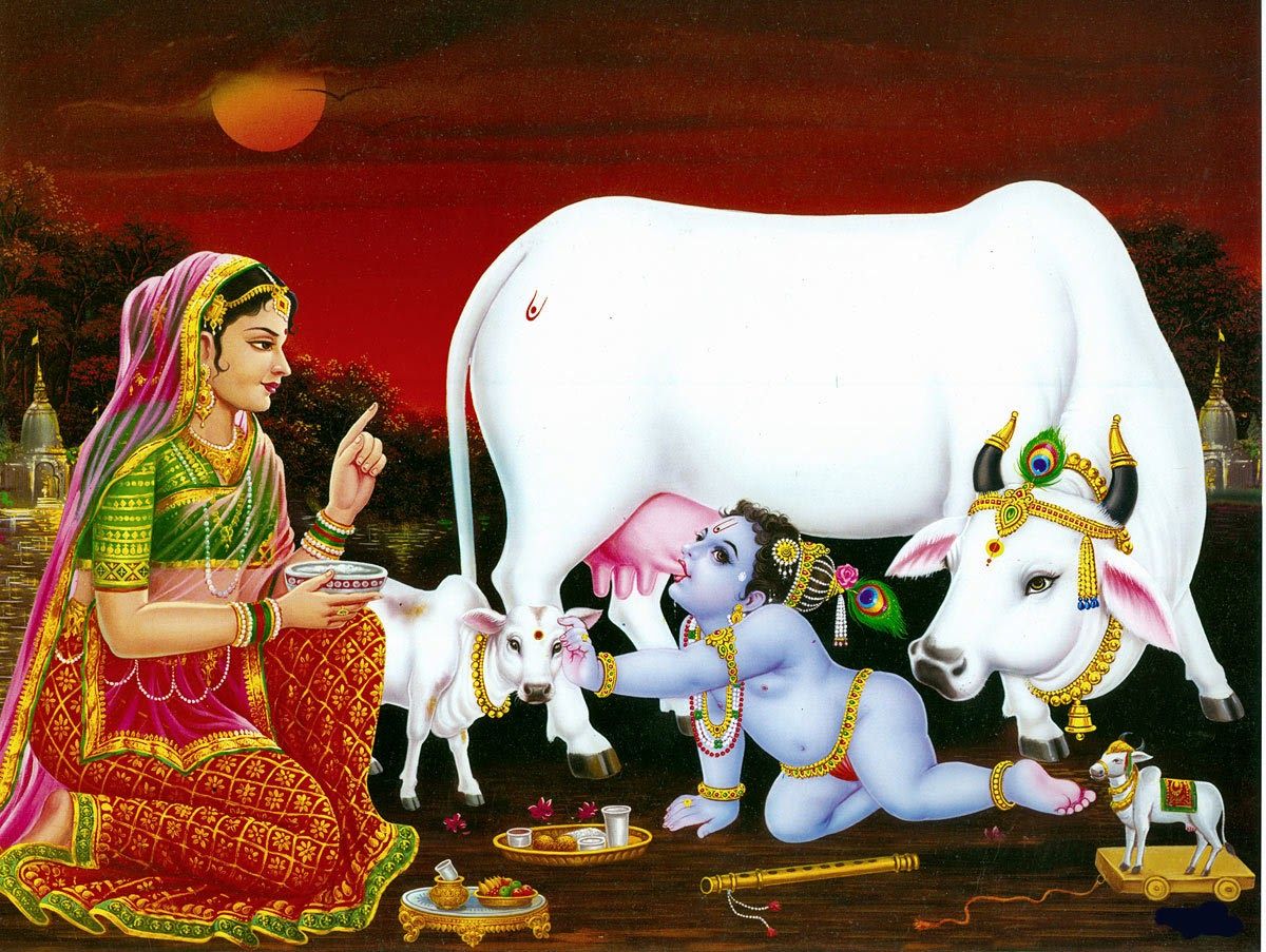 Beautiful Bal Krishna HD Wallpaper Ibutters Celebrities