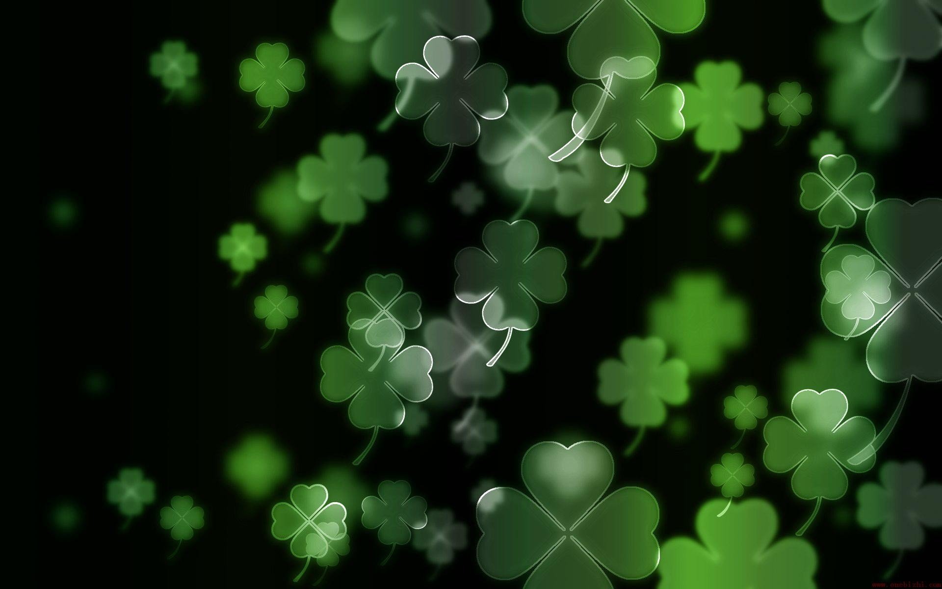 Luck Irish Four Leaf Clover Clovers Wallpaper
