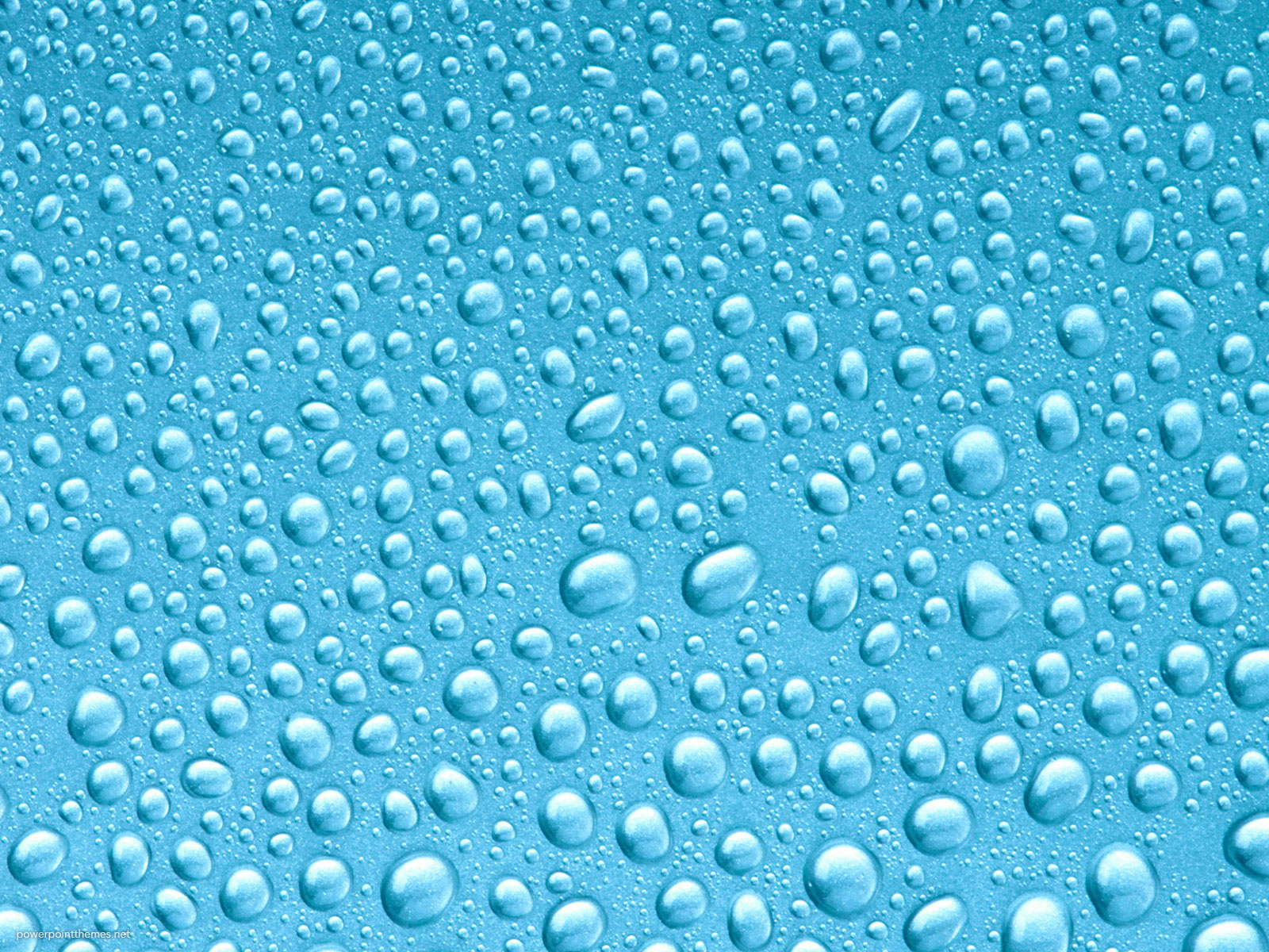 Fresh Water Drops Background Powerpoint Themes