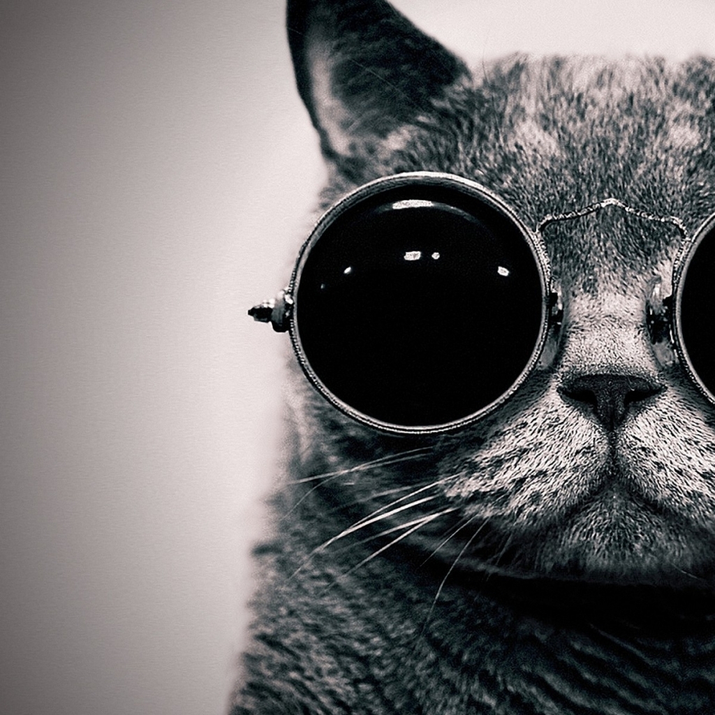 Cats Animals Glasses Funny Sunglasses Hippie Monochrome Schr246dinger