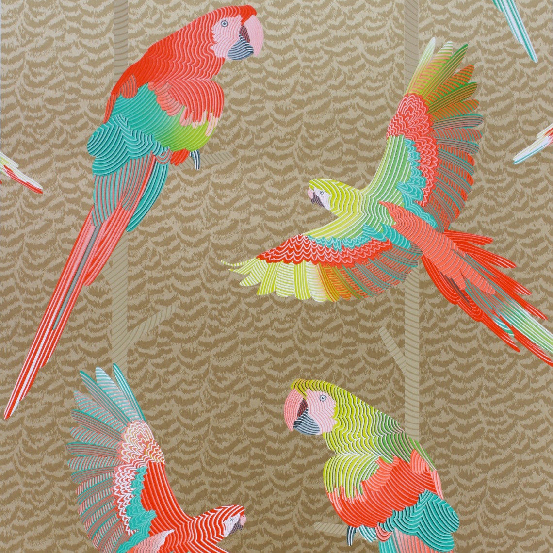 🔥 [50+] Matthew Williamson Wallpapers | WallpaperSafari