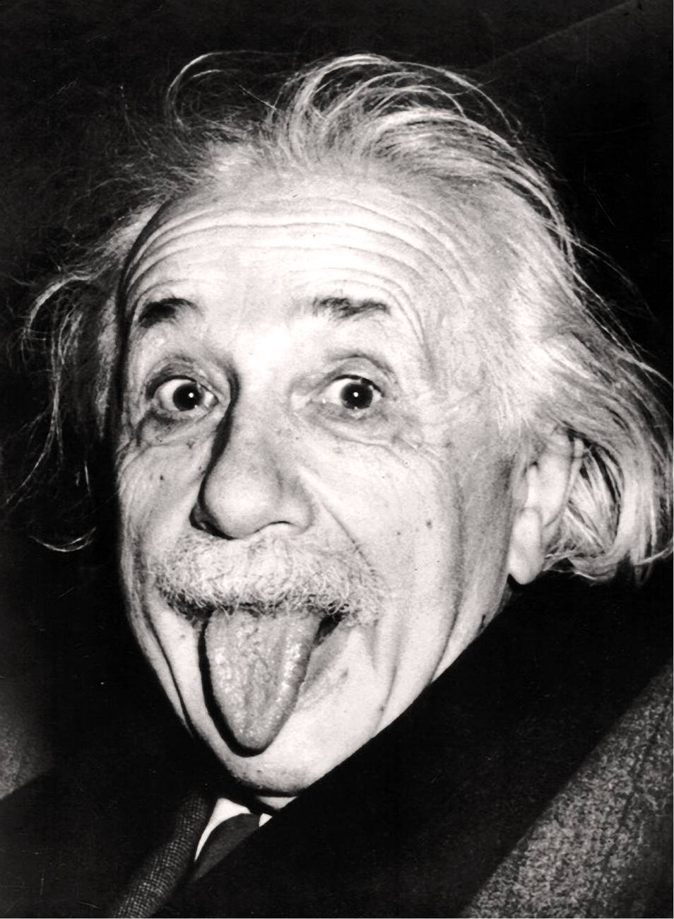 17+] Einstein Funny Wallpapers - WallpaperSafari