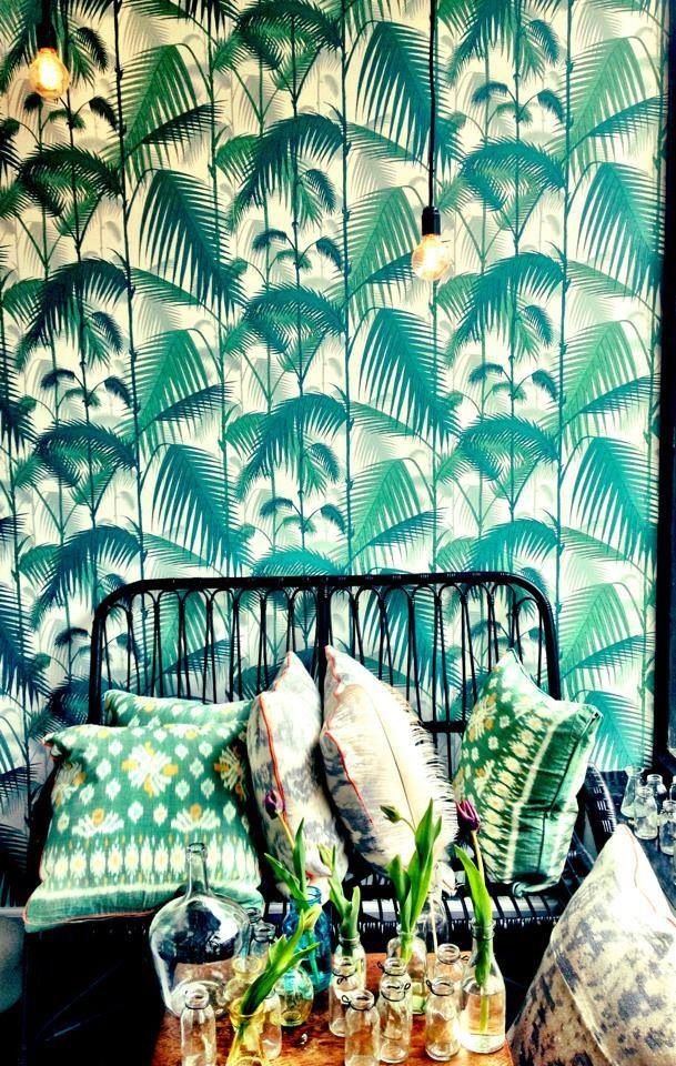 Wallpaper Palm Jungle Leaf Print Design By Cole Son