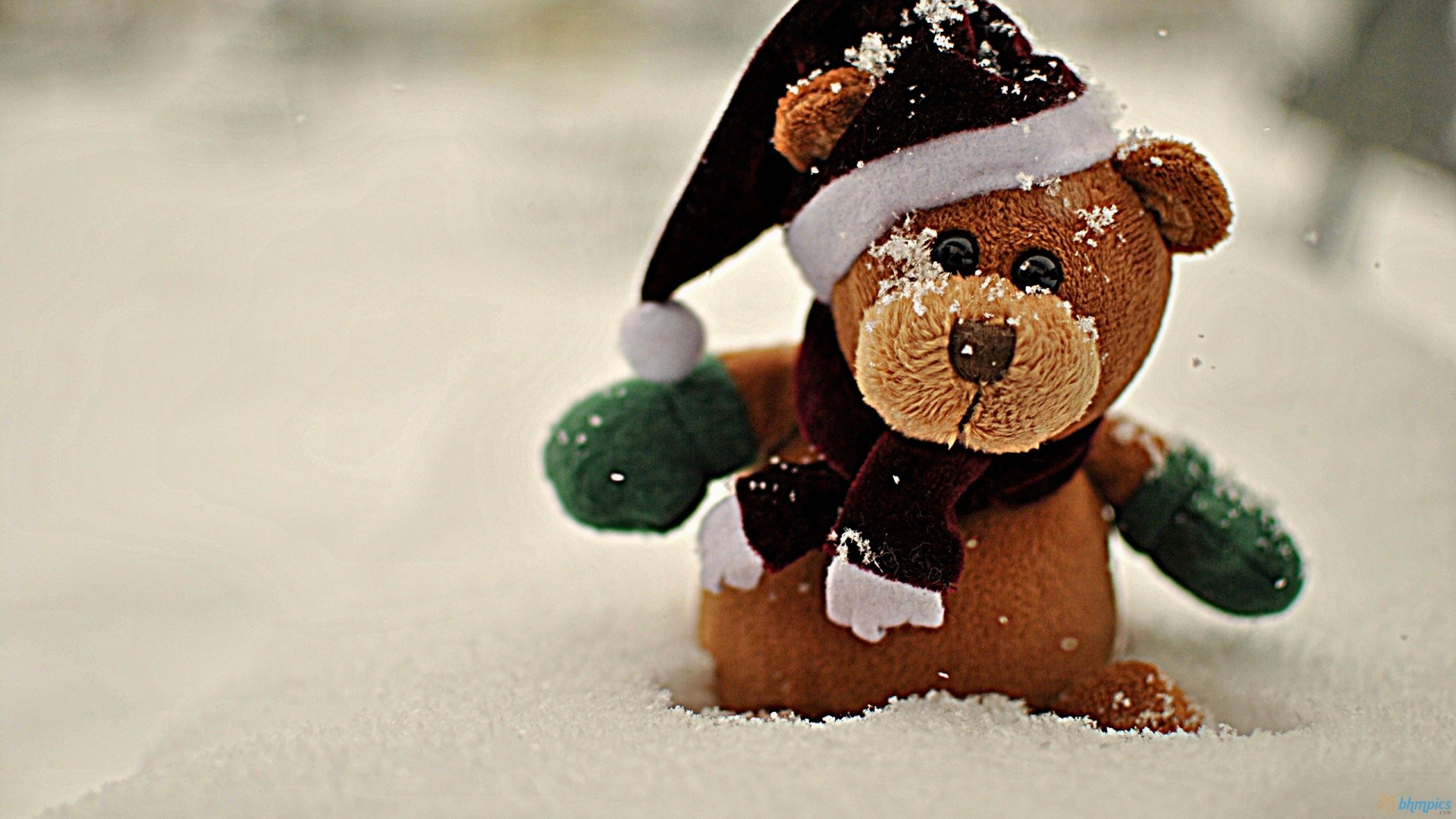 Pics Photos Cute Bear Wallpaper For Your