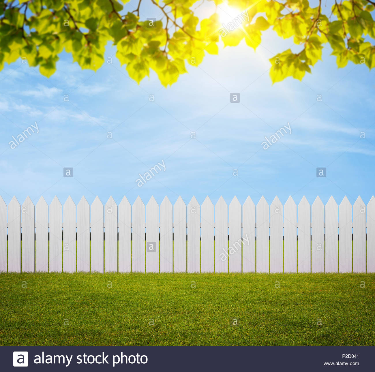 Backyard Background With Copy Space Stock Photo