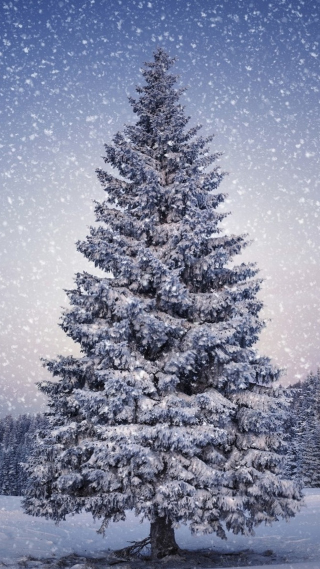 Trees Snowfall Winter iPhone 5s Wallpaper