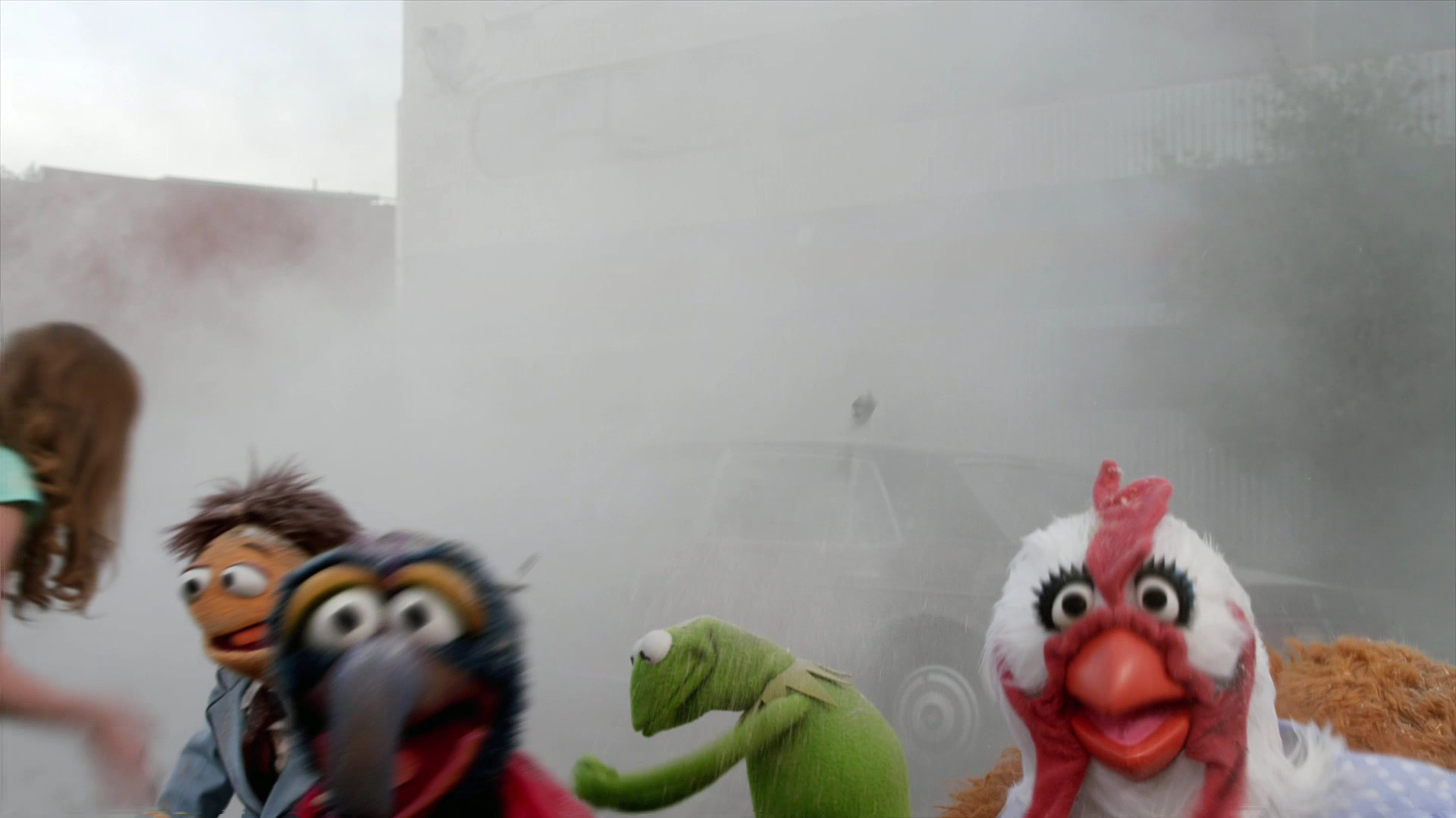 The Muppets Desktop Wallpaper For HD Widescreen And Mobile