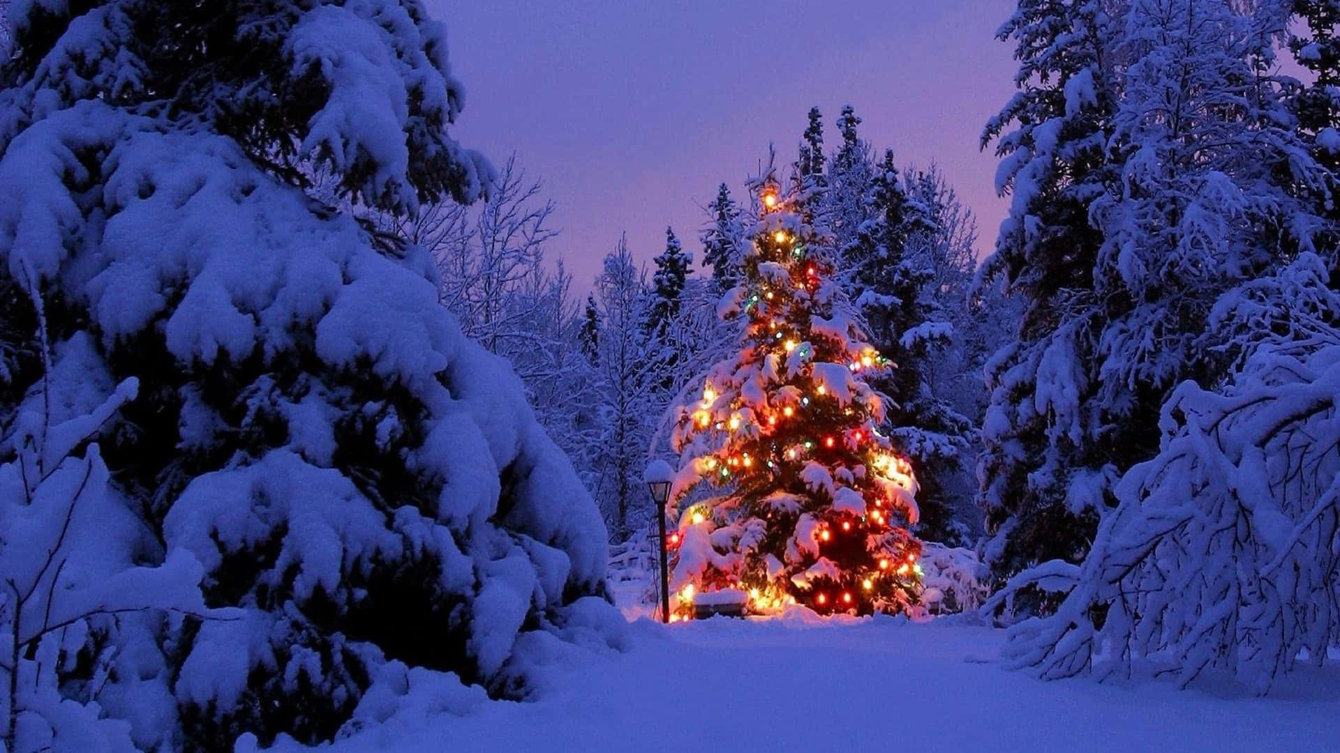 Christmas Snow Background Wallpaper