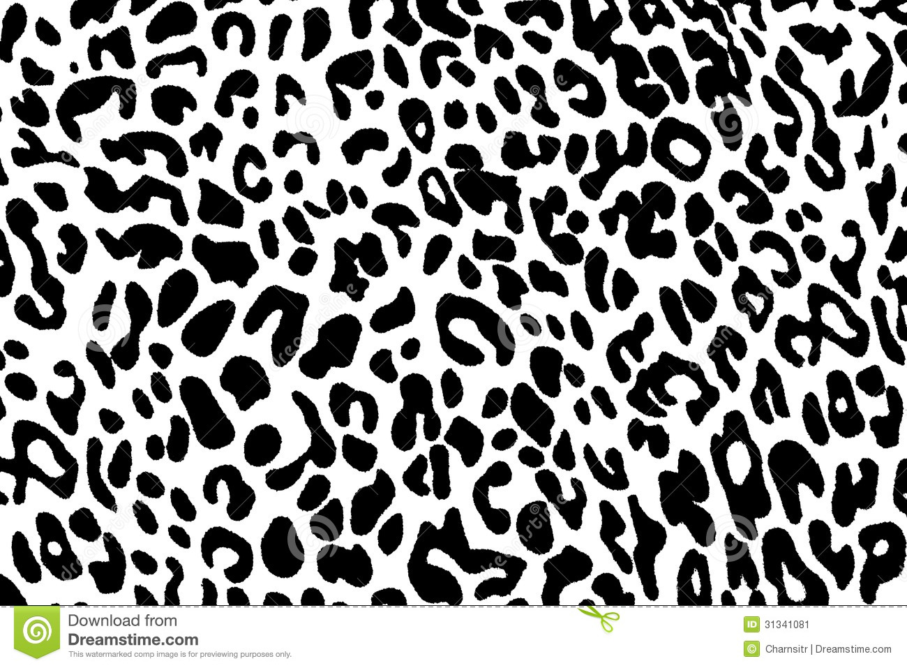 Black And White Background Of Leopard Stock Image