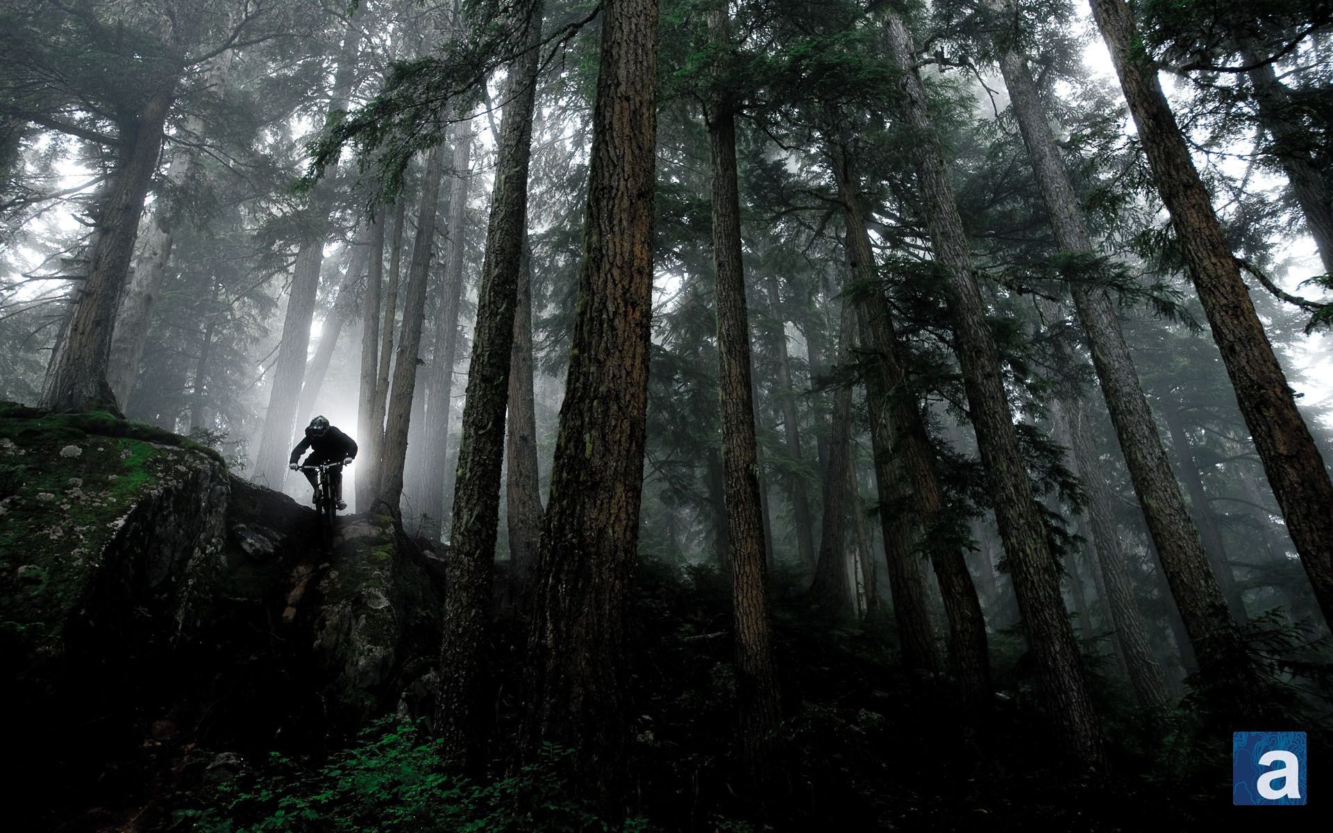 Mtb Wallpaper 4k