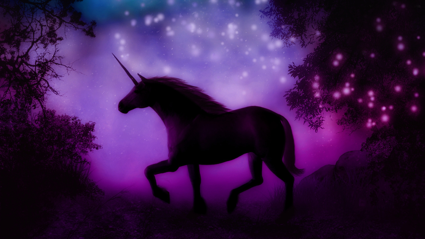Unicorn Fantasy Photo