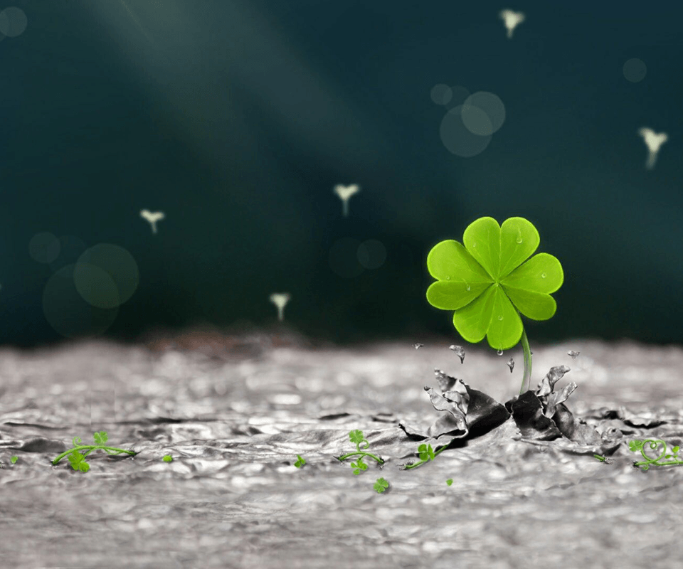 🔥 Free download Lucky Four Leaf Clover Wallpaper Background Islamic HD
