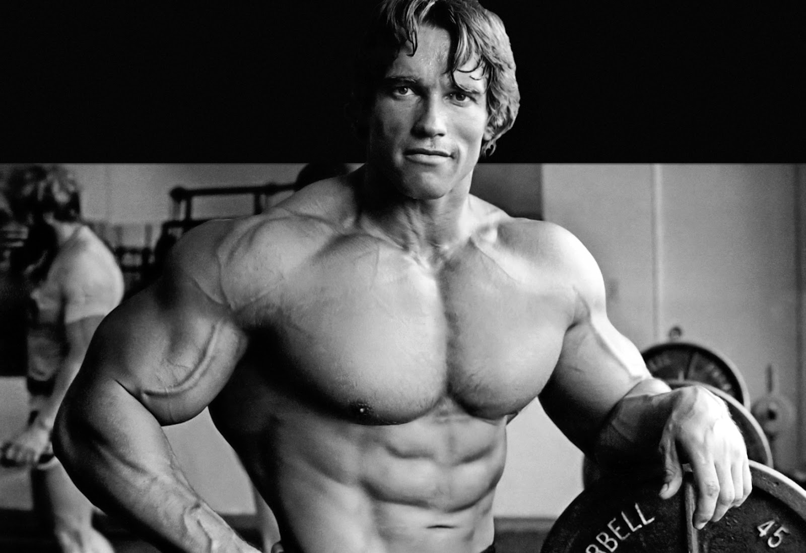 Arnold Schwarzenegger Body Wallpaper Random Celebs