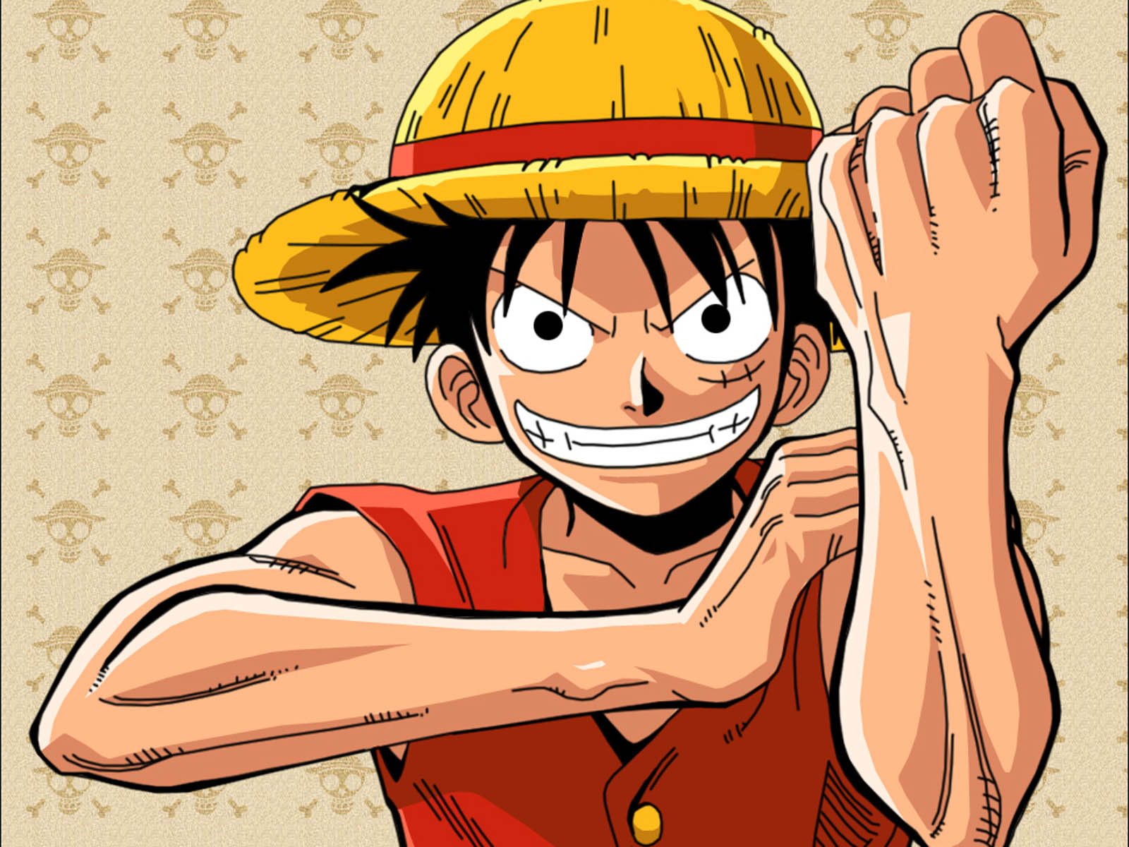 One Piece Luffy Cool HD Wallpaper Animewp