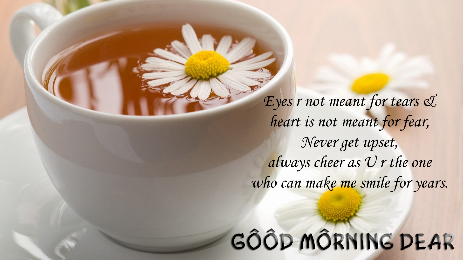 Good Morning Dear Wish Quotes Wallpapers HD Wallpapers