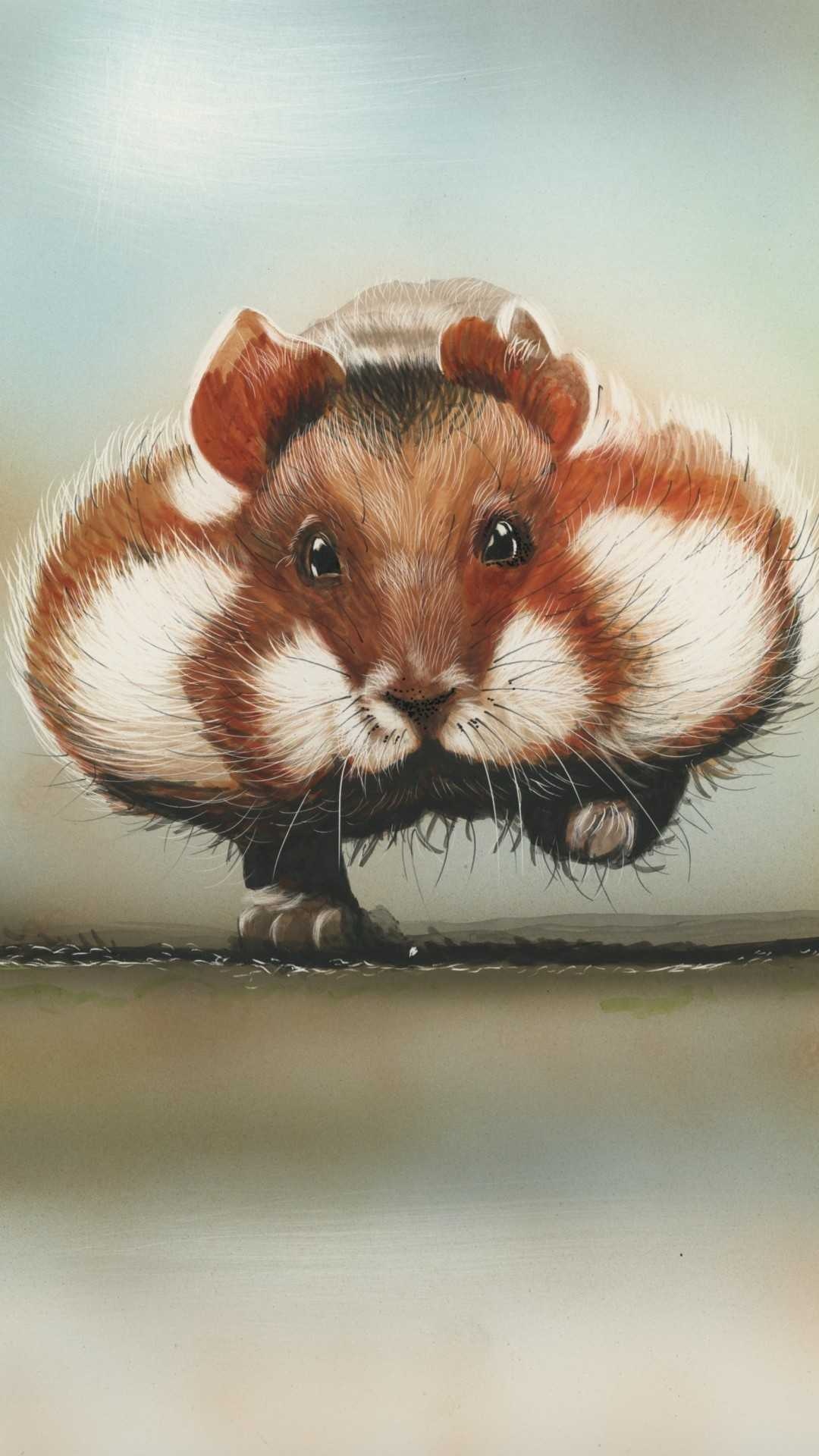 Phone 1080p Hamster Background Photo Wallpaper