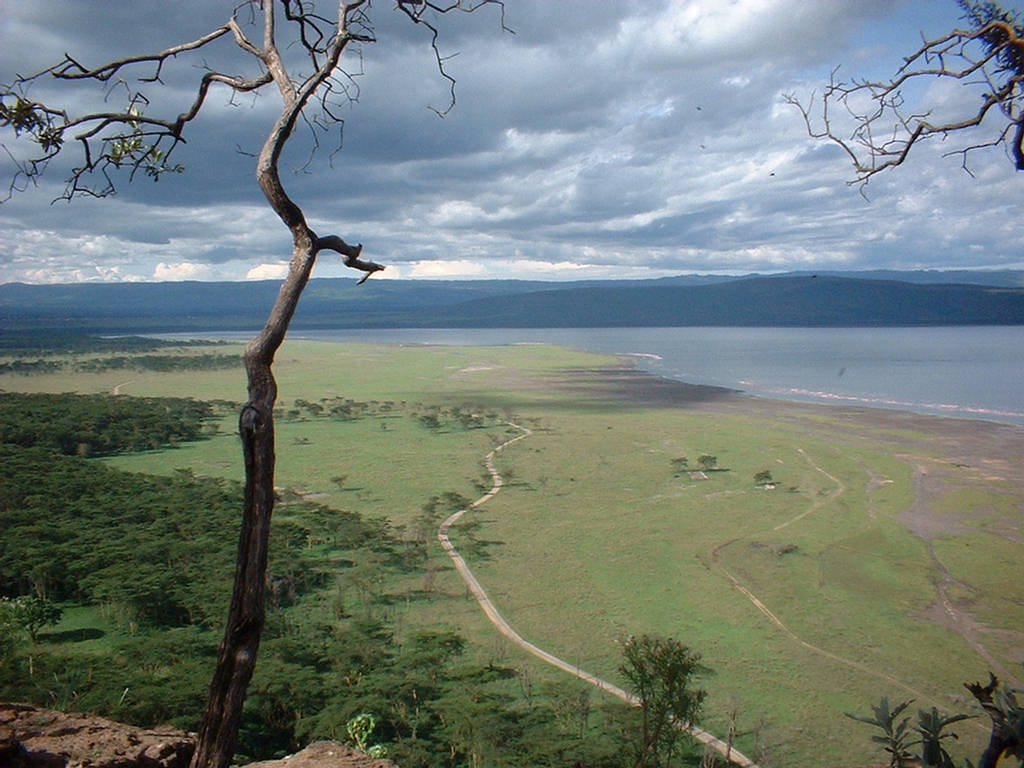Lake Nakuru Rift Valley Image N Detail Xcitefun
