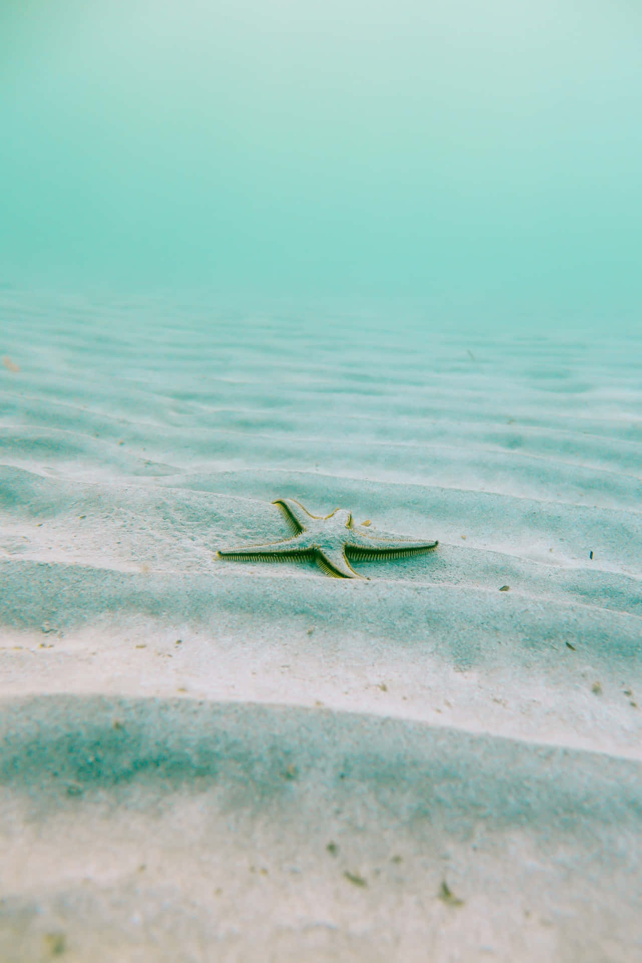 Peaceful Relaxing Wallpaper